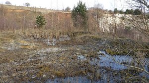NABU-Kyffh&auml;userkreis- Aktuell: