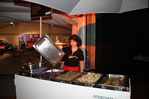 Fr&uuml;hlingsball 2015