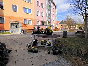 Ostermarkt in Sondershausen