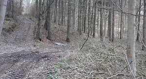 M&uuml;ll &uuml;ber M&uuml;ll