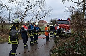 Erfolgreich ausgebildeter Nachwuchs