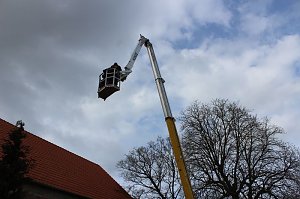 Ansturm zum Jubiläumsmarkt in Braunsroda