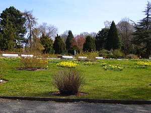 Saisoner&ouml;ffnung im Sangerh&auml;user Rosarium
