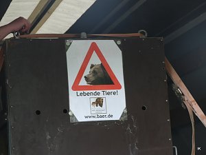 B&auml;rin Conny zieht nach Worbis