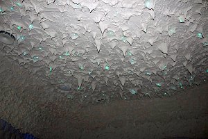Die besondere Totes-Meer-Salzgrotte