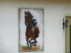 Pfingsten auf der Feuerkuppe