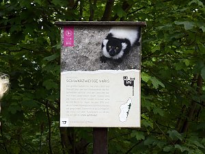 Besuch im Affenwald