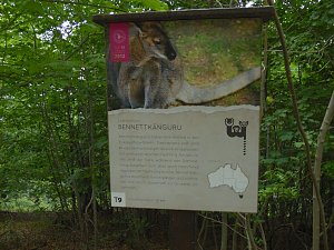 Besuch im Affenwald