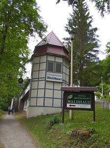 Besuch im Affenwald