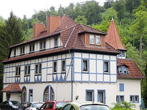 Besuch im Affenwald