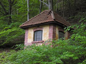 Besuch im Affenwald