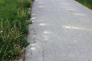 Jetzt schon Baum&auml;ngel am neuen Radweg?