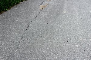 Jetzt schon Baum&auml;ngel am neuen Radweg?