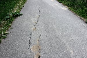 Jetzt schon Baum&auml;ngel am neuen Radweg?