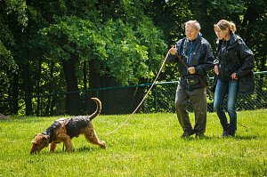 Mantrailing-Seminar auf dem Sondersh&auml;user Hundeplatz
