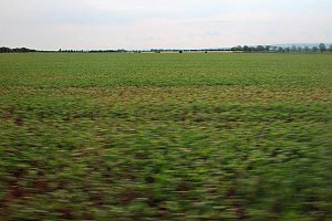 Landwirte auf Flurfahrt