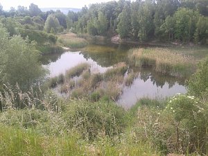 Exkursion in eine Sandgrube