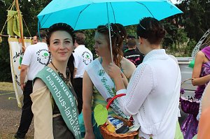 Impressionen vom Lindenbl&uuml;tenfest