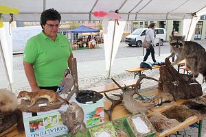 Buntes Familienfest