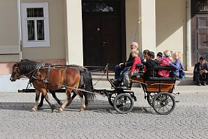 Buntes Familienfest