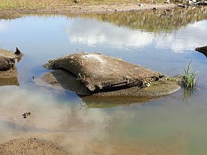 In der Elbe gefunden