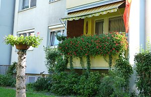 Stadt Frankenhausen sagt Danke