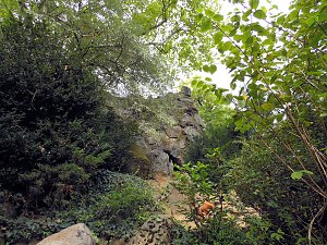 Der Wörlitzer Park
