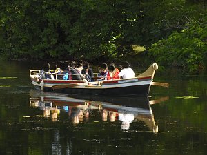 Der Wörlitzer Park