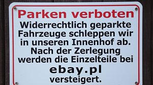 16. Mops-Rennen in Hachelbich