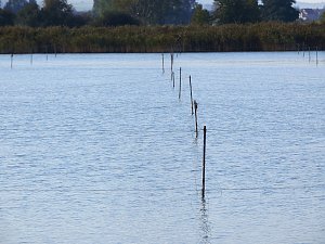 Fischerfest in Auleben