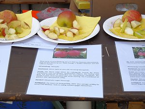 Fischerfest in Auleben