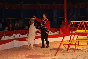 Circus Rolina gastiert in Nordhausen