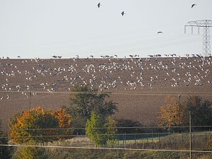 Die Flugschau ist eröffnet