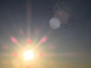 Die Flugschau ist eröffnet