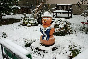 Kürbiskameraden im Schnee