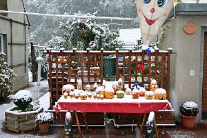 Kürbiskameraden im Schnee