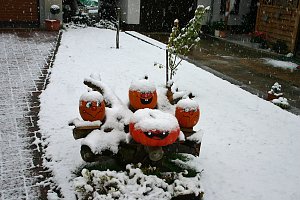 Kürbiskameraden im Schnee