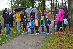 Impressionen vom 22. Stadtparklauf Sondershausen