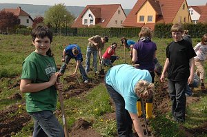 Tag des Waldes in Bad Frankenhausen