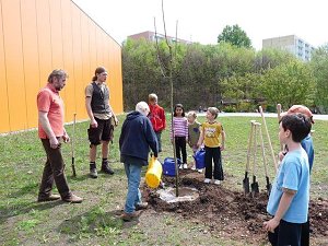 Wohngebietsfest Hasenholz