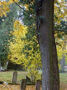 Rundgang auf J&uuml;dischem Friedhof