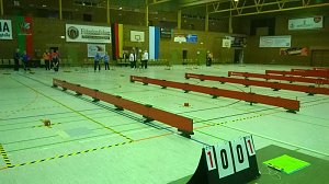Bosseln