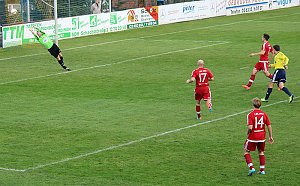 Starke G&auml;ste auf dem G&ouml;ldner von Sondershausen