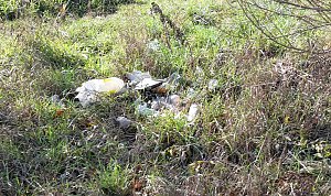 Es ist schon erstaunlich was da so alles entlang der Wipper in Sondershausen abgeladen wird. Dabei hat kn wieder einige frische und alte Entdeckungen gemacht�   Hier wurden mal wieder in einem M&uuml;llsack offensichtlich alte Pflanzgef&auml;&szlig;e entsorgt. So weit ja noch ganz gut.   Muss man aber seine M&uuml;llt&uuml;ten unbedingt auf dem Wipperdamm nahe der Kiesgrube ablegen. Wer macht sich die M&uuml;h
