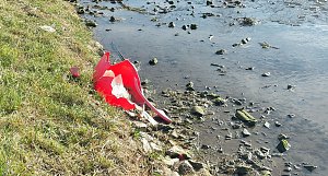 Es ist schon erstaunlich was da so alles entlang der Wipper in Sondershausen abgeladen wird. Dabei hat kn wieder einige frische und alte Entdeckungen gemacht�   Hier wurden mal wieder in einem M&uuml;llsack offensichtlich alte Pflanzgef&auml;&szlig;e entsorgt. So weit ja noch ganz gut.   Muss man aber seine M&uuml;llt&uuml;ten unbedingt auf dem Wipperdamm nahe der Kiesgrube ablegen. Wer macht sich die M&uuml;h