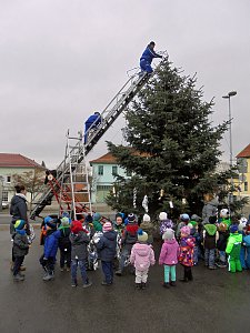 Helbespatzen schm&uuml;ckten den Ebelebener Weihnachtsbaum