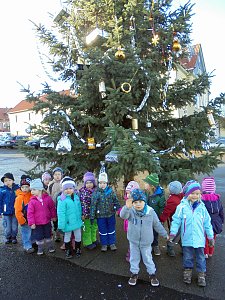 Helbespatzen schm&uuml;ckten den Ebelebener Weihnachtsbaum