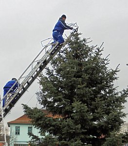 Helbespatzen schm&uuml;ckten den Ebelebener Weihnachtsbaum