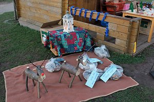 Weihnachtsmarkt im K&auml;ferland