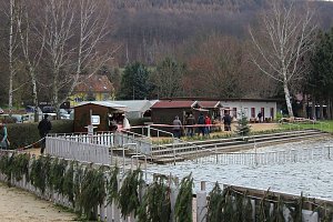 Weihnachtstauchen am Bebraer Teich